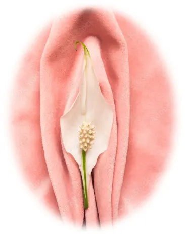 مراقبت بعد واژینوپلاستی