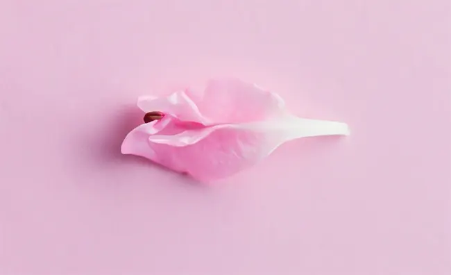 مراقبت های بعد از واژینوپلاستی